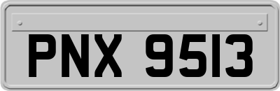 PNX9513