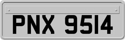 PNX9514