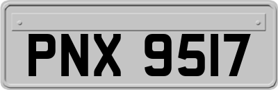 PNX9517