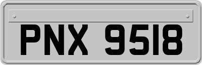 PNX9518