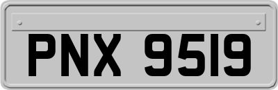 PNX9519