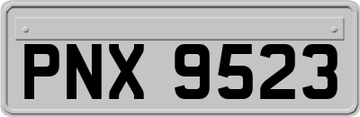 PNX9523