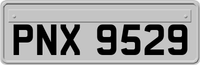 PNX9529