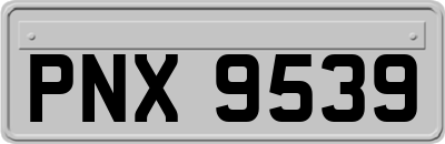 PNX9539