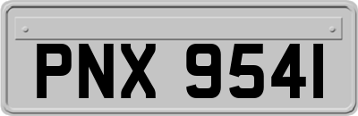 PNX9541