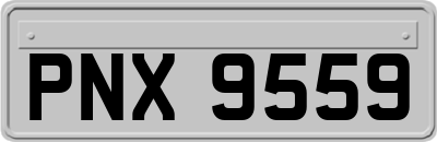 PNX9559