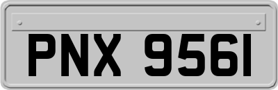 PNX9561