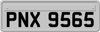 PNX9565