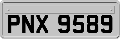 PNX9589