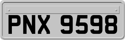 PNX9598
