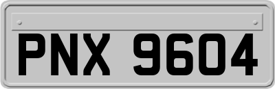 PNX9604