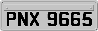 PNX9665