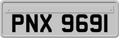 PNX9691