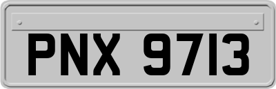 PNX9713