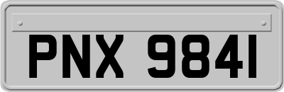 PNX9841