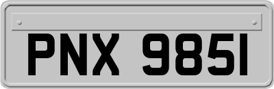 PNX9851