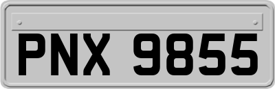PNX9855