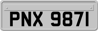 PNX9871