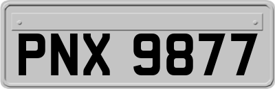 PNX9877