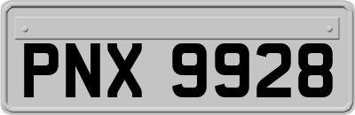 PNX9928