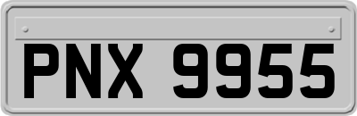 PNX9955