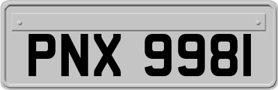 PNX9981