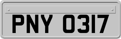 PNY0317