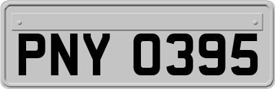 PNY0395