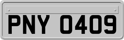 PNY0409