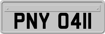 PNY0411