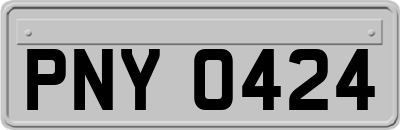 PNY0424