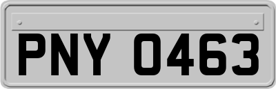 PNY0463