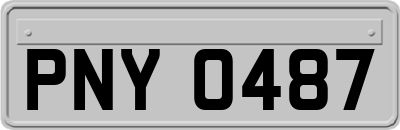 PNY0487