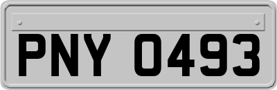 PNY0493