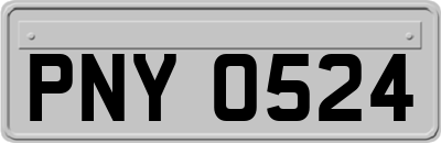 PNY0524
