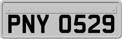 PNY0529