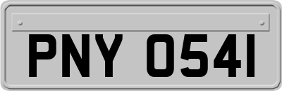 PNY0541