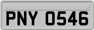 PNY0546