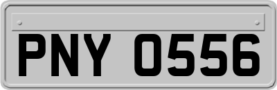 PNY0556
