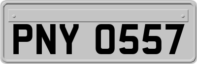 PNY0557