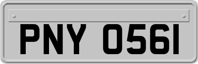 PNY0561
