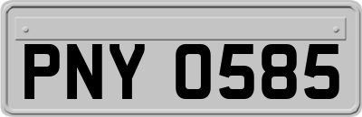 PNY0585