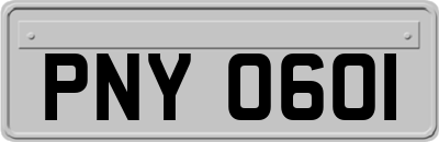 PNY0601