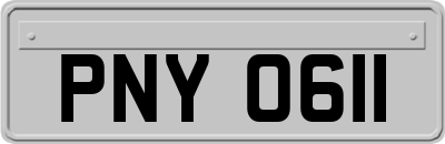 PNY0611