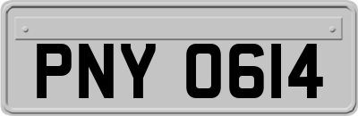 PNY0614