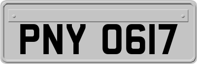 PNY0617