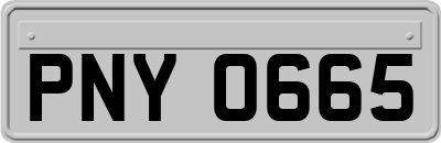 PNY0665