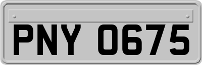 PNY0675
