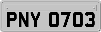 PNY0703