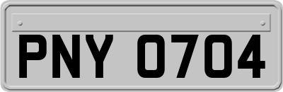 PNY0704